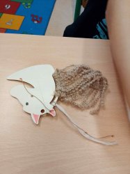 ŽABÁCI - SVATÝ MARTIN - LISTOPAD 25-26