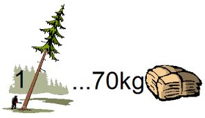 Obrázek na diplomech říká, že 70 kg nasbíraného starého papíru ušetří 1 vzrostlý strom !!!!!!!!!!!!!!
